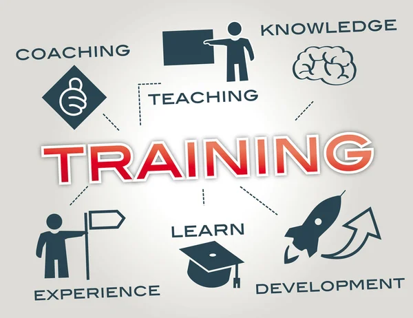 Custom IP and Digital Law Training Program Design
